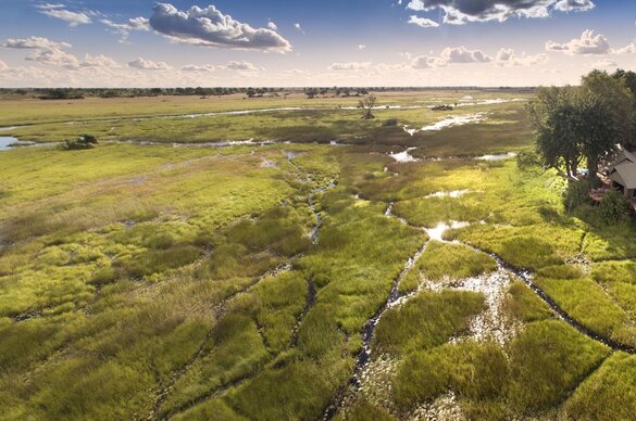 Duba Plains Camp